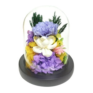 KXh[ CeA AWg L ʔ t[AWg vU[uht[ vU[ht[    h[ Ԋt  ~  t[ ͂Ȃ 