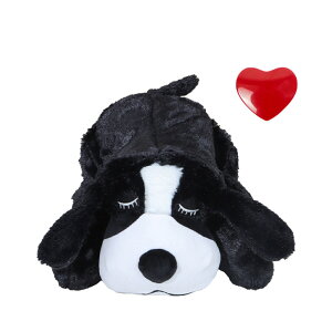   ybgpi ʔ ʂ ߋ I`  ܂  ܂ So S ybg  Ck ӂӂ tJtJ ybgp n[gr[g n  sɘa s