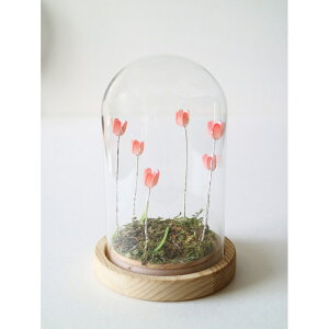 KXh[ t[ ʔ `[bv KXh[S LED KX h[  IuWF u u  킢 IV  LUMO [ LEDC~l[V CeACg 