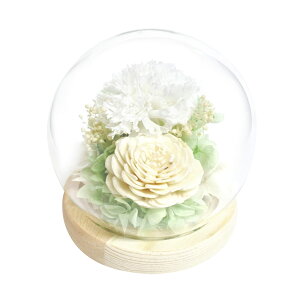 vU[uht[ KXh[ ʔ t[AWg uU[ht[ vU[ht[ Mtg a ̓ LO Ԋt t[Mtg v[g 蕨 A[