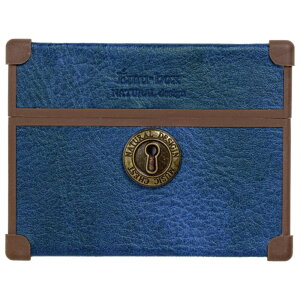 AirPodsP[X 3 ʔ AirPods3 P[X AirPods GA|bYP[X GA|bY Jo[ ^  킢  AP21-EB gN^ IV  fB[X CX[dΉ