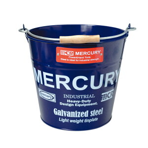 }[L[ oPc ʔ  uL K[fjO M[ Vv MERCURY jO S~ _Xg{bNX _Xgr AJ  [ DIY |pi