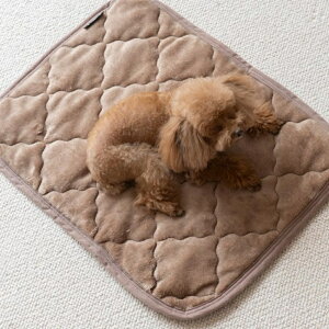 ybgp pbh L ʔ p}bg ybgp}bg ybg}bg ybgpbh ybgppbh ~pbh }bg tl ΍ h΍ ybg   ~ ׂ~ 