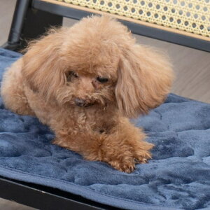 ybgp pbh L ʔ p}bg ybgp}bg ybg}bg ybgpbh ybgppbh ~pbh }bg tl ΍ h΍ ybg   ~ ׂ~ 