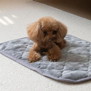 ペット用 パッド L 通販 犬用マット ペット用マット ペットマット ペットパッド ペット用パッド 敷きパッド マット フランネル 寒さ対策 防寒対策 ペット 犬 いぬ 滑り止め すべり止め 洗え