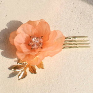 wAR[ ANZT[ ʔ  R[ wAs  q qǂ ǂ LbY ̎q l fB[X  t[   sAm\  ܎O wAAW wA