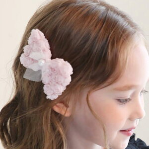 RORA wANbv ʔ [ G wA[Nbv wAANZT[  LbY q qǂ ǂ   { 傫  킢  ̎q q   