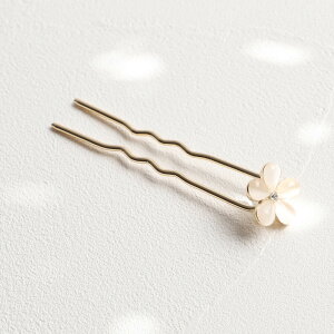 RORA wAR[ ʔ [ Aix wAs wAANZT[   LbY q qǂ ǂ ̎q q    킢  tH[}   w 