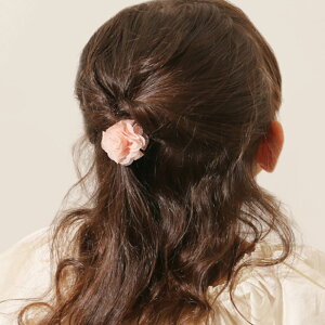 RORA wAS ʔ [ ZVA S wAANZT[  LbY q qǂ ǂ ̎q q    킢 IV tH[} i JWA   