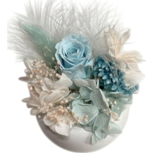 uU[ht- ʔ t[AWg t[Mtg   킢  j Vzj  rO ʏ gC t[ zj ސE ސEj CeA