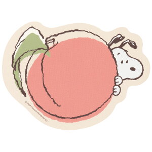 }`}bg ʔ LN^[ ANZg}bg PVC}bg }bg t[X^C}bg g[Ή @}bg @ ȒP PVCf q LbY[ NbV  