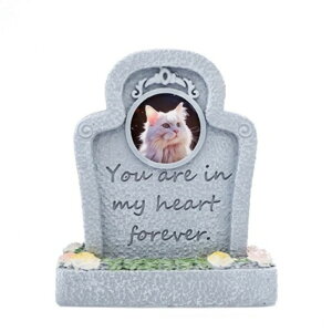  ybg ʔ ybg  L  ybg ybgA A   L ybg{ ybgp  { ^   킢 Av[g _