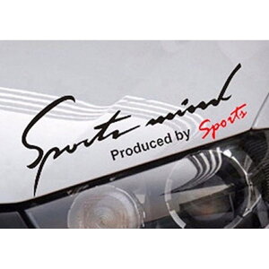  XebJ[  ʔ MTCY 9.5×25cm Ԃɓ\XebJ[ JbeBOV[g O J[ANZT[ ANZT[ N} TCh {lbg A V[ fJ[ ԃANZT