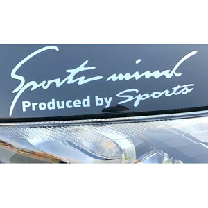  XebJ[  ʔ STCY 7×19cm Ԃɓ\XebJ[ JbeBOV[g O J[ANZT[ ANZT[ N} TCh {lbg A V[ fJ[ ԃANZT[