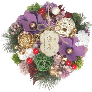  [X S ʔ փ[X ~   STCY ֏ Ǐ H   I[ig GREEN HOUSE O[nEX Mtg{bNX EFJ NX}X nEB  