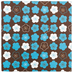 az C~ 100cm ʔ { ӂ낵 唻 a wafuka v[[hbO O 100% 킢   IV a  GRobO e[uNX | a 