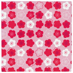 az C~ 100cm ʔ { ӂ낵 唻 a wafuka v[[hbO O 100% 킢   IV a  GRobO e[uNX | a 