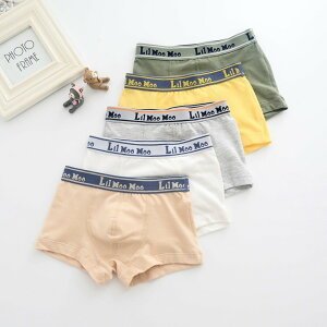 {NT[pc j̎q ʔ qpc qp LbY {NT[u[t j̎qp LbY  Ci[ pc qpcj̎q  V[c A_[EFA A_[EG