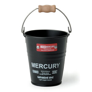 }[L[ oPc ʔ uLoPc G  MERCURY ~joPc uL X`[ K[fjO Ԓd Aؔ A Jo[ y yX^h  CeA