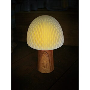 ライト おしゃれ 置き型 通販 LUMO ルーモ LEDライト LED セラミックライト 大人かわいい オシャレ テーブルライト セラミック インテリア 卓上 コードレス 寝室 廊下 子供部屋 シンプル コンパ