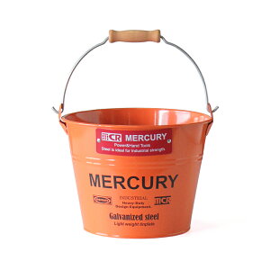 }[L[ oPc ʔ uLoPc X[ G  MERCURY  uL X`[ K[fjO Ԓd Aؔ A Jo[ K[W J[pi S~ |pi