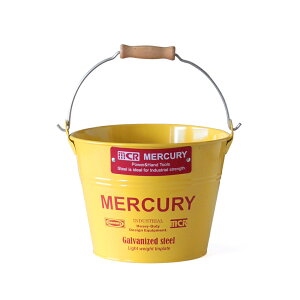 }[L[ oPc ʔ uLoPc X[ G  MERCURY  uL X`[ K[fjO Ԓd Aؔ A Jo[ K[W J[pi S~ |pi