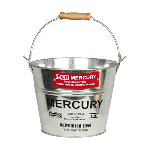 }[L[ oPc ʔ uLoPc X[ G  MERCURY  uL X`[ K[fjO Ԓd Aؔ A Jo[ K[W J[pi S~ |pi