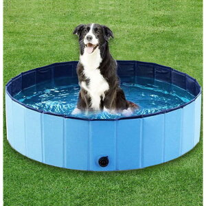 �y�b�g �� �������� �ʔ� �v�[�� �L �q�� �܂��� �܂肽���� �����^�� �� ���a120cm ����30cm VeroMan ���F���}�� petpool01 �o�X�O�b�Y ��t�� ���V�� �� ���������� ��C ����Ȃ� �u�����h
