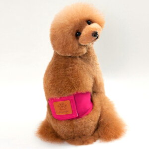 IX  ނ ʔ ^ }i[xg }i[oh }i[pc ʋC bV I[V[Y t  H ~ 킢  L ybg |Pbg ^O  S }[LOh~ 