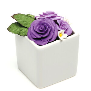 \[vt[Mtg ʔ \[vt[ Mtg Ό̌   o KN  AWg g[G[ TOEI p[v bh ~bNX Ԃv[g a sAm\ LO