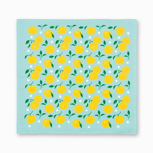 C~ ٓ ʔ C~ ӂ낵  `NX nJ` 唻 ٓ ~j  50cm { a a 100% ̓ Mtg v[g ݂̏C~ G