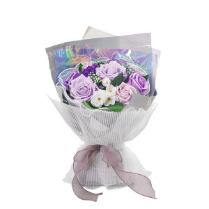 u[P ʔ Όf  V{   Ϗܗp t[ fUC V[X[ rj[obO j 킢 wj Əj ̓ Mtg v[g