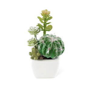 A T{e tFCN ʔ   CTG} LA[eBtBVO[ TLgtE CeAO[ 񂹐A |bg tFCNO[ CeA l