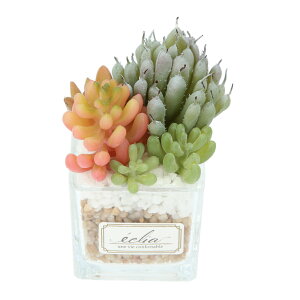 A ϗtA tFCN s ʔ   CTG} LA[eBtBVO[ ECLIA GNA CeAO[ 񂹐A |bg tFCNO[ CeA lHA ͂