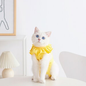 L p㕞 ʔ p㕞 rߖh~ pEFA EFA ނ lR Lbg ˂ _炩 ی 畆ی Eѕی ی  D   