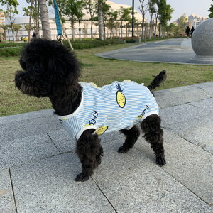 p㕞  ʔ L Lk w {^ Ȃ p[X Jo[I[  L  XgCv ybgEFA rߖh~ pی    Ck ˂ lR