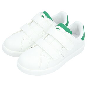 ARNOLD PALMER A[mhp[}[ Xj[J[ LbY ʔ R[gXj[J[ ^C V[Y WjA w {[CY K[Y C ʊw uh j̎q ̎q q ǂ qǂ ʃt@X