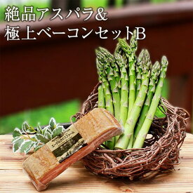絶品アスパラ＆極上ベーコンセットB【簡易包装】 母の日 ギフト アスパラ ベーコン 北海道 詰め合わせ 父の日 お中元 夏ギフト 内祝い