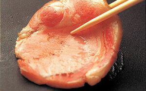 dEYΎdグ ؂胍[Xn 120gyȈՕzۑsgp j Ԃ j   Hו Y kC G[fCXt@[ 蕨 Ε ؓ [X n H H BBQ L