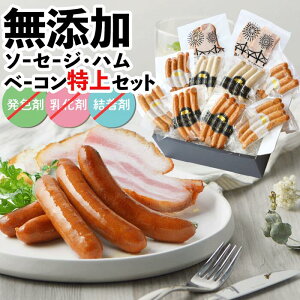 _X[p[SALE30%OFF^ BADEN BADEN Y\[Z[WEnEx[RZbg  Zbg Mtg 蕨 hV̓ j Ԃ v[g   Hה Y ؓ VY 