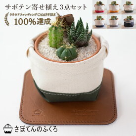 ポイント10倍■サボテン寄せ植え3点セット 鉢カバー レザーコースター 名入れオプション付き 室内観葉 ミニサボテン 観葉植物 寄せ植え 帆布 デニム 本革 プレゼント ギフト 誕生日 開店祝い 記念日 贈り物 アルティジャーノ インテリア 雑貨 母の日 父の日