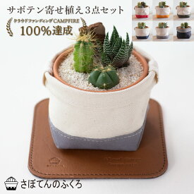 10%OFF■サボテン寄せ植え3点セット 鉢カバー レザーコースター 名入れオプション付き 室内観葉 ミニサボテン 観葉植物 寄せ植え 帆布 デニム 本革 プレゼント ギフト 誕生日 開店祝い 記念日 贈り物 アルティジャーノ インテリア 雑貨 母の日 父の日