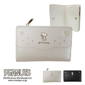 y11/16܂œXSi|Cg5{zz fB[X ܂ ܂z 傫JK Vv TCt  K t@Xi[   w w Z ~j RpN