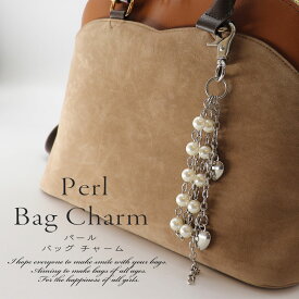 【送料無料】バッグチャーム パール アンティーク キーホルダー キーチャーム かっこいい チャーム バックチャーム ホワイトパール シルバー ハート 大人 かわいい 個性的 おしゃれ 鍵 記念品 贈答品 ギフト プレゼント ハロウィン perl3