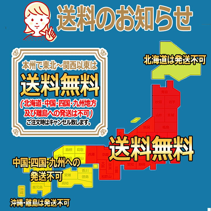 楽天市場 アウトレット ポイント10倍 東北 関西以東は送料無料 Ace エース Palisades2 Z パリセイド2 Z キャリーケース スーツケース 22l コインロッカー 軽量モデル 静音キャスター カバー付き 国内線100席未満機内持ち込み対応 東京屋カバン店