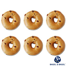 シナモンレーズンベーグル6個セット BAGEL&BAGEL ベーグル アンド ベーグル 冷凍パン おしゃれ まとめ買い 低脂肪 低脂質 ダイエット お取り寄せグルメ【4〜5営業日以内に出荷】