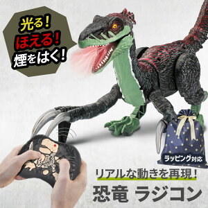    j̎q ߋ  FLvg xLvg vg H _Ci\[  WR  C ړ A