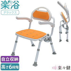 gsv V[`FA y fbNX yX i   ⏕  C ֎q  ܂肽 y RpNg  6iK VjA pi 