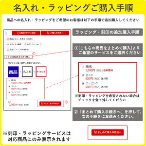 ペニータイプスケートボードプレゼントミニクルーザースケートボードクルーザースケボーおもちゃアウトドアデッキスポーツ子どもベアリングウィールホイールキッズコンプリートセット22インチLED