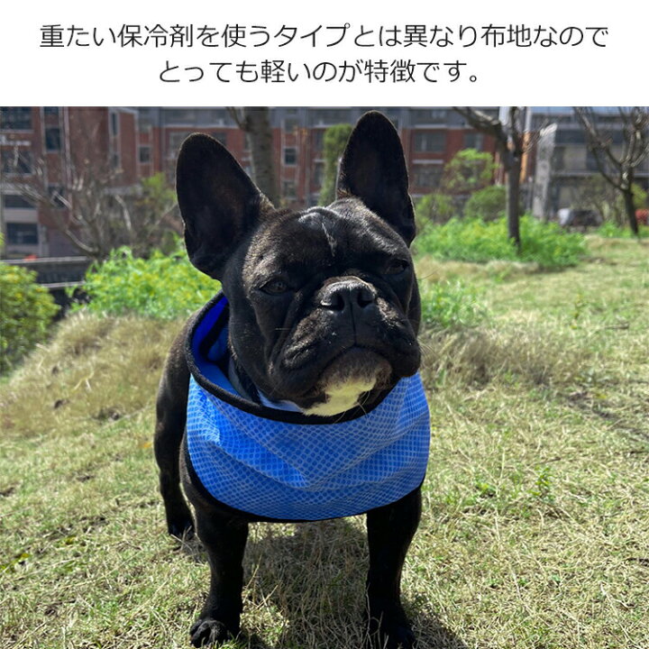 1070円 毎週更新 ペット用ネッククーラー 冷却スカーフ 犬猫兼用クールバンダナ 首輪 取り付け簡単 水洗い可 柔らかく食事用 誕生日 お散歩 1070円 毎週更新 ペット用ネッククーラー 冷却スカーフ 犬猫兼用クールバンダナ 首輪 取り付け簡単 水洗い可 柔らかく食事用 誕生日 お散歩